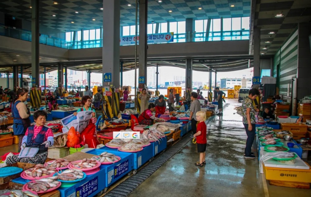     Jagalchi Fish Market