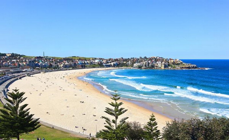     Bondi 