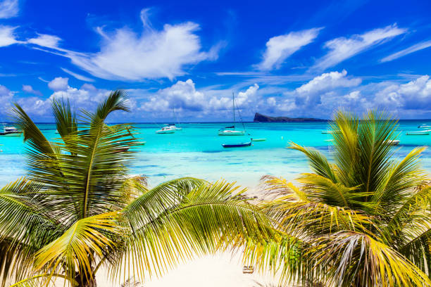 ▷ Нова година 2022 на остров Мавриций